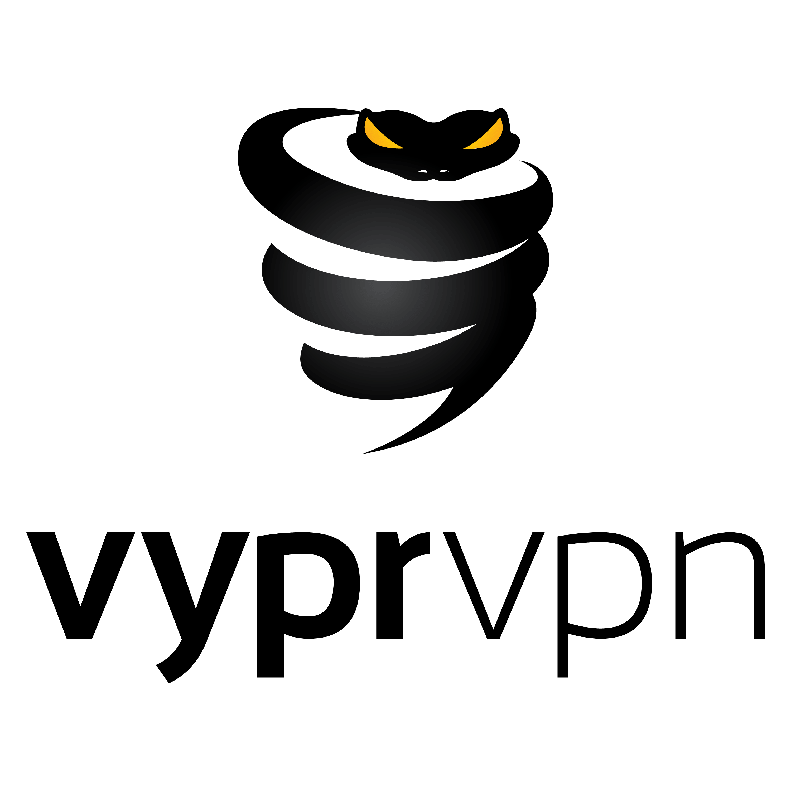 vyprvpn logo