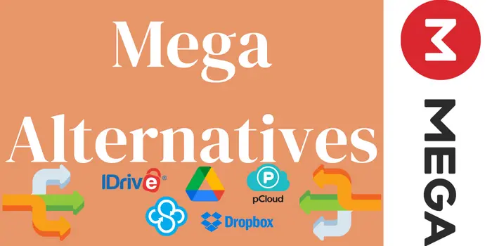 Mega Alternatives