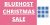 Bluehost Christmas Sale 2025 – Upto 70% Off