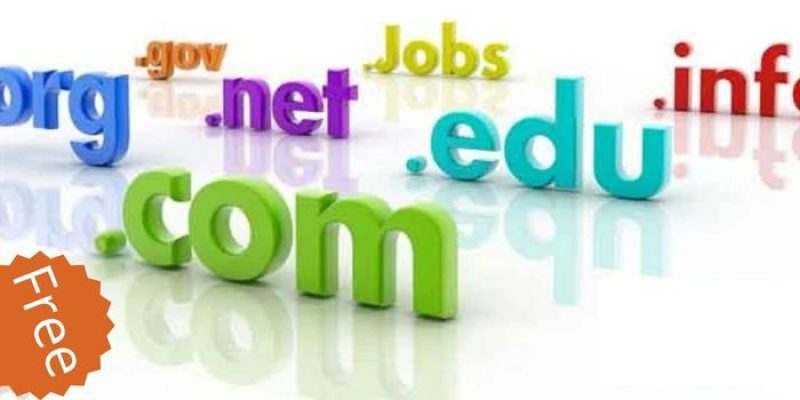 Get Free Domain Name In 2025