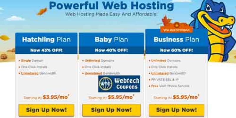Hostgator Web Hosting Review 2025– Performance, Scalability & Price