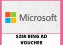 $250 Off Bing ads Voucher 2025 & Coupon Code