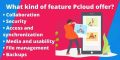Pcloud Family Features