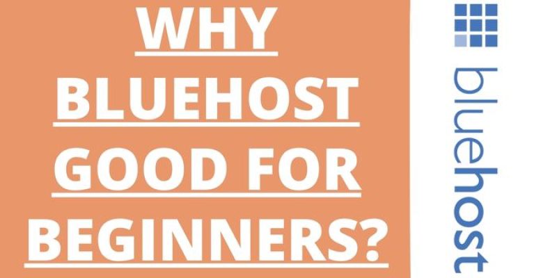 Why Bluehost Good for Beginners In 2025?